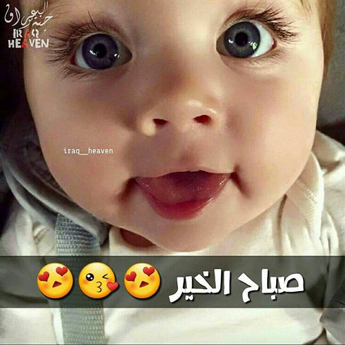 صباح الخير مضحكة , اجمل صورة كومديه مكتوب عليها صباح الخير