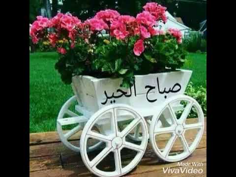 صور للصباح , اروع الصور والعبارات للصباح