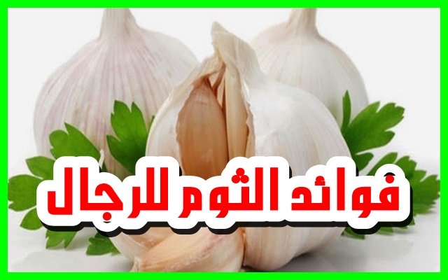 ما فوائد الثوم , الثوم وكثرة فوائدة