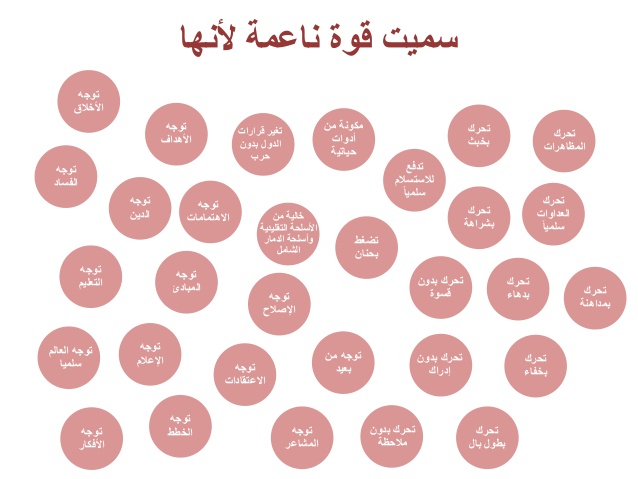 القوة الناعمة - ماهية القوة الناعمة