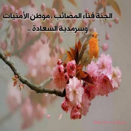 صور واتس دينيه , صور اسلامية للواتس اب