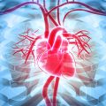 13602 1 علاجات امراض القلب الروماتزمية- كيف يمكن التخلص من الروماتنزميه بالعلاج حمراء